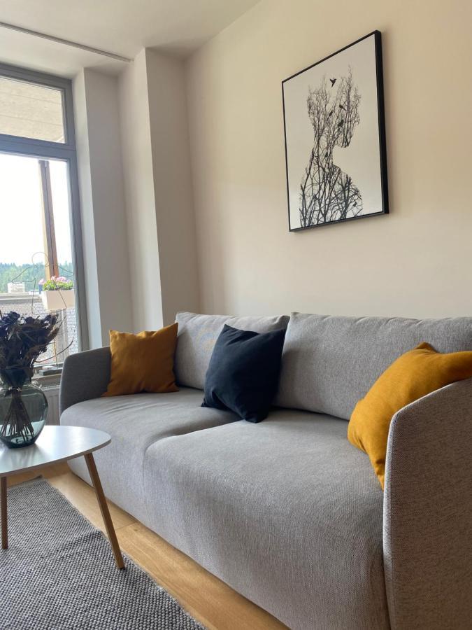Luxusni Apartman U Sjezdovek S Garazi Harrachov Exterior foto